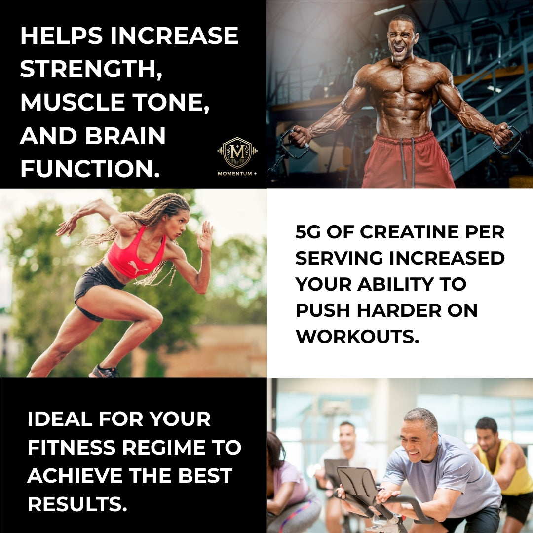 Momentum+ Creatine Monohydrate 500g - 100 servings